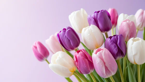 Розыгрыш к 8 марта!